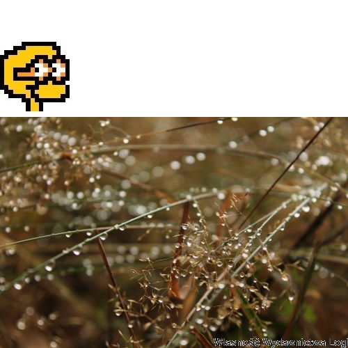 Puzzel nr 8, łatwy